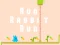Igra Run Rabbit Run online
