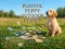 Igra Playful Puppy Outdoor Puzzle online