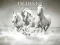 Igra Horses Puzzle online