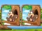 Igra Jungle 5 Diffs online
