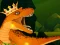 Igra The Dino King online