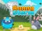 Igra Bunny Storm online