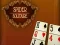 Igra Spider Solitaire online