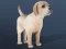 Igra IDLE Pet online
