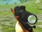 Igra Hunter 3D online