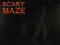 Igra Scary Maze online