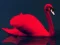 Igra Love Birds Puzzle online
