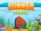 Igra Summer Shell online