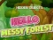 Igra Hidden Objects Hello Messy Forest online
