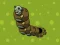 Igra Zombie Worms online