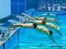 Igra Swimming Pool Race online