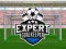 Igra Expert Goalkeeper online