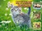 Igra Kittens Jigsaw online