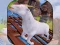 Igra Angry Goat Wild Animal Rampage online