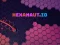 Igra Hexanaut.io online