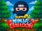Igra Super Ninja Balloon online