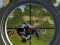 Igra Wild Hunt: Jungle Sniper Shooting online