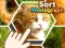 Igra Sort Photograph online
