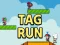 Igra Tag Run online