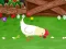 Igra Stupid Chicken online