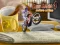 Igra Bike Mania 4 Micro Office online