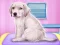 Igra Labrador at the doctor salon online