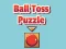 Igra Ball Toss Puzzle online