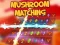 Igra Mushroom matching online