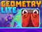 Igra Geometry Lite online