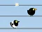 Igra Gone with the Birds online