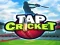 Igra Tap Cricket online