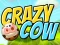 Igra Crazy Cow online