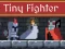 Igra Tiny Fighter Unstoppable Run online