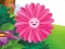 Igra Funny Flowers Jigsaw online
