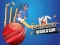 Igra Cricket World Cup Game online