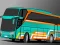 Igra Villager Bus Simulator online