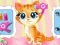 Igra Pets Beauty Salon online