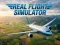 Igra Real Flight Simulator online