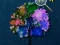 Igra Hidden Stars online