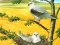 Igra Birds Of Prey Puzzle online