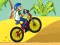 Igra BMX Boy Online online