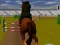 Igra Jumping Horse 3d online