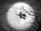 Igra The Night Of the Witches Jigsaw online