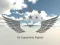 Igra Air Superiority Fighter online