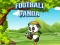 Igra Football Panda online