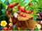 Igra Hidden Objects Insects online