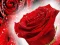 Igra Red Roses online