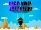 Igra Dark Ninja Adventure online
