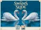 Igra Swans Slide online