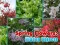 Igra Spring Flowers: Hidden Objects online
